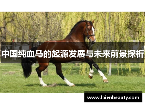 中国纯血马的起源发展与未来前景探析