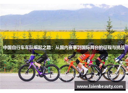 中国自行车车队崛起之路：从国内赛事到国际舞台的征程与挑战
