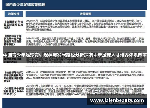 中国青少年足球青训现状与发展路径分析探索未来足球人才培养体系改革
