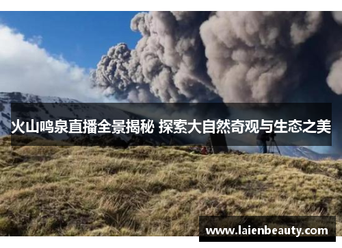 火山鸣泉直播全景揭秘 探索大自然奇观与生态之美