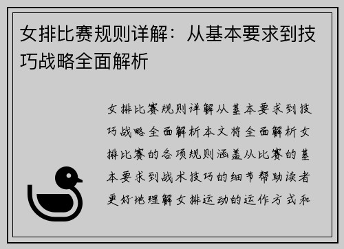 女排比赛规则详解：从基本要求到技巧战略全面解析