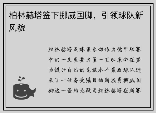 柏林赫塔签下挪威国脚，引领球队新风貌
